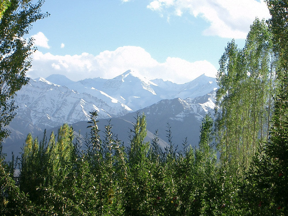 Hotel Shambhala Leh Luaran gambar