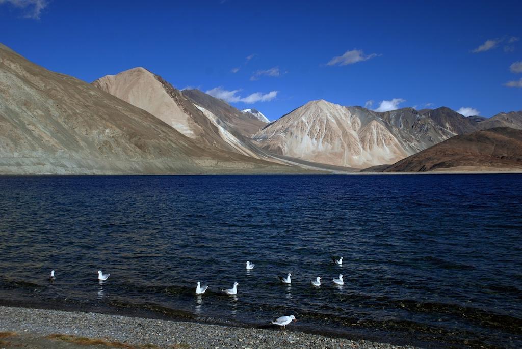 Hotel Shambhala Leh Luaran gambar